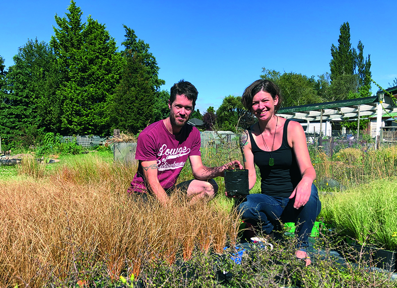 Reforest Southland’s Daniel Jones and Josie Blackshaw tend plants at their home nursery in Lumsden.