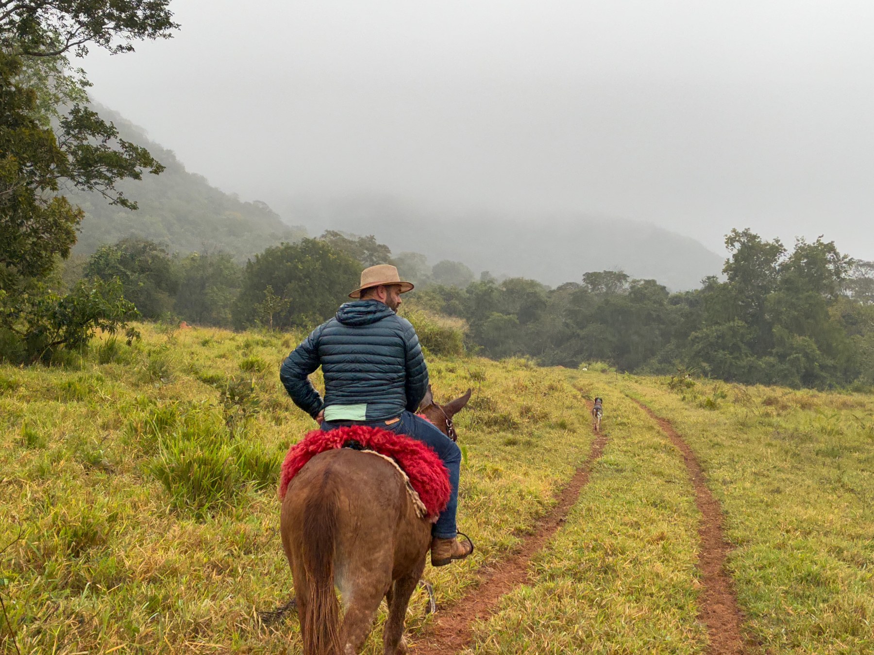 Jon Pemberton heading into the bush to flush out calves, while mustering on horseback in Brazil.