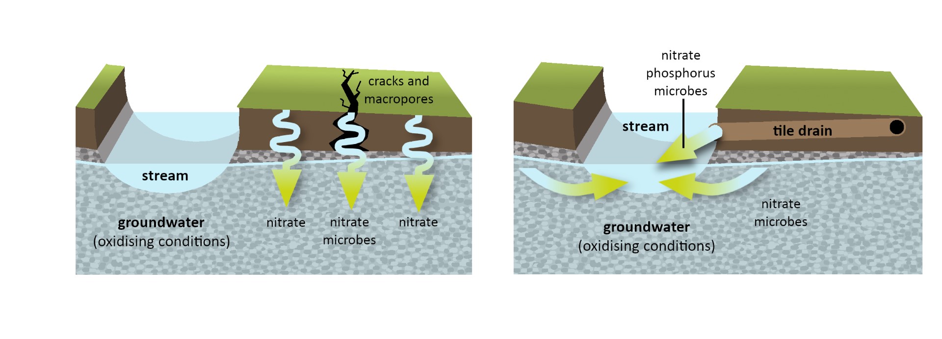 contaminant-pathways