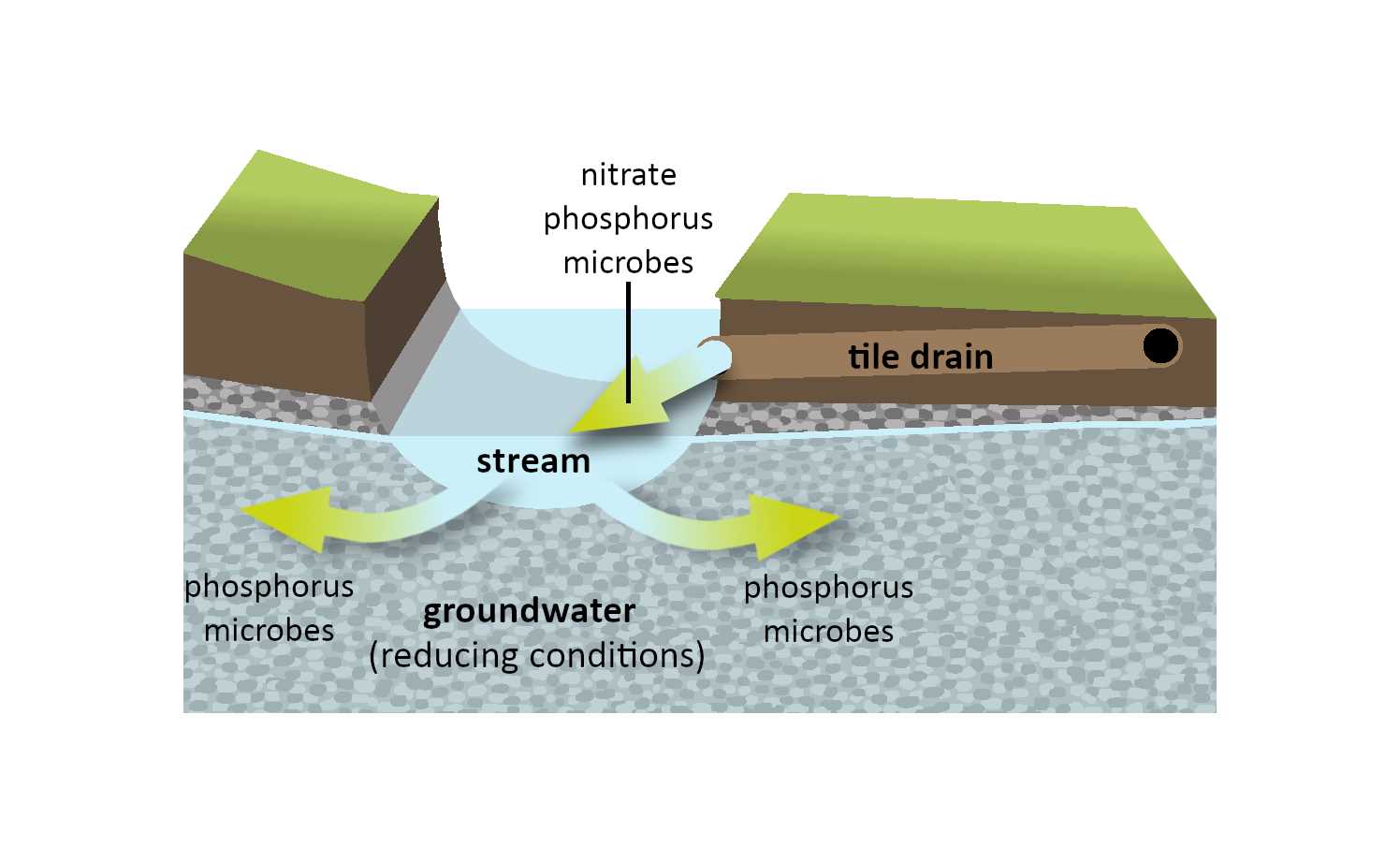 contaminant-pathways